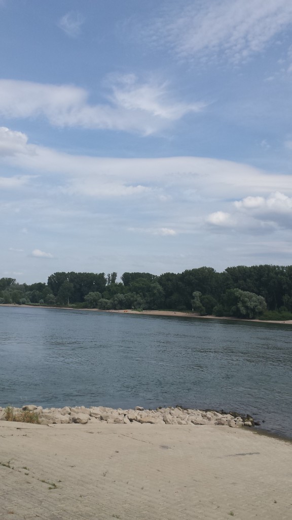 Wunderschöner Blick auf den Rhein