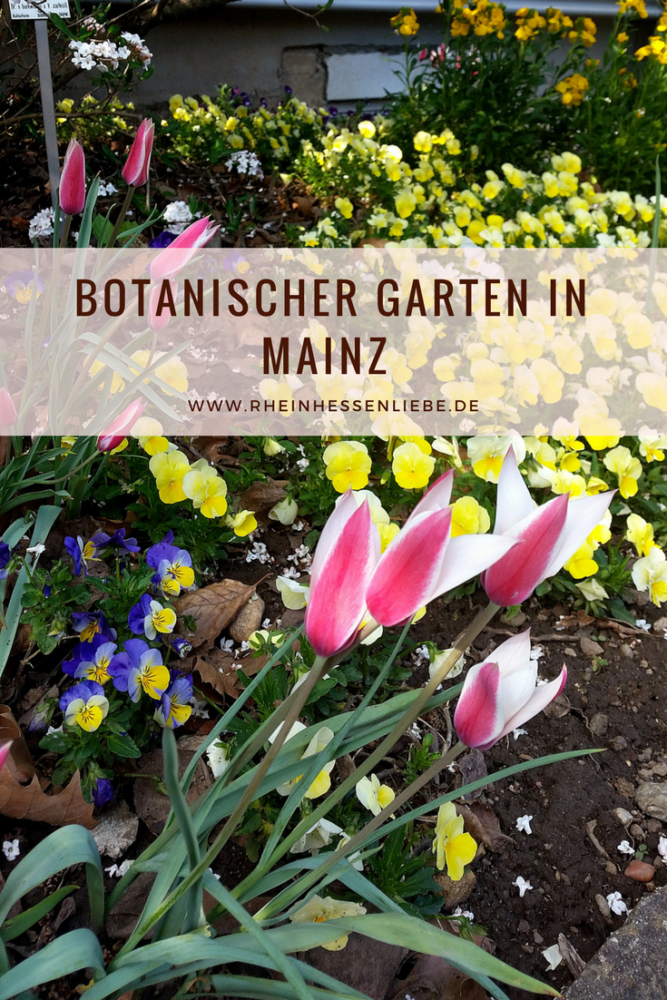 Botanischer Garten Mainz 