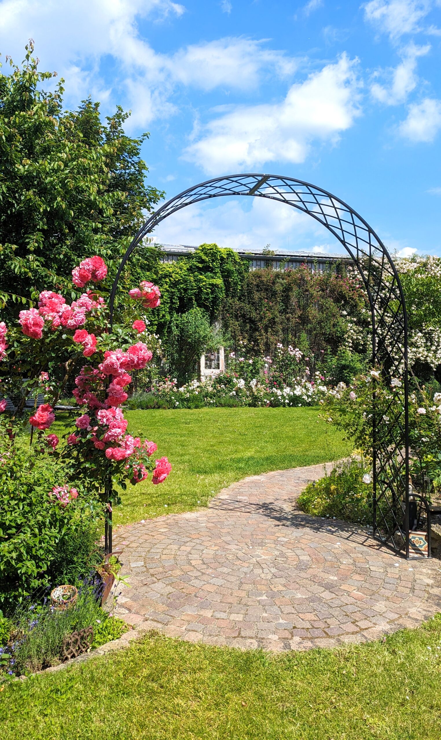 Adlerhof WeinCafé Frühstücken in Rheinhessen