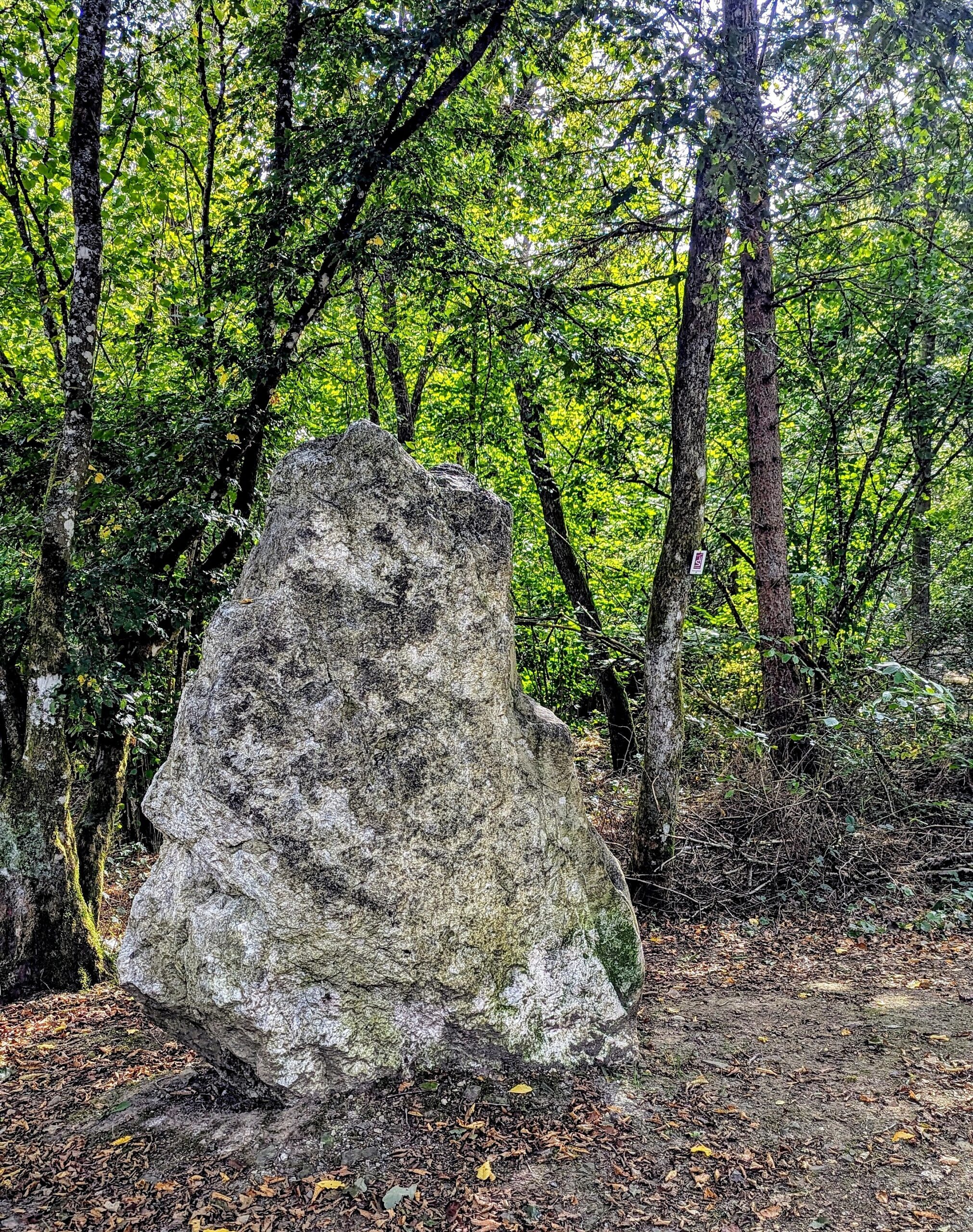 Geologischer Pfad Algenrodt