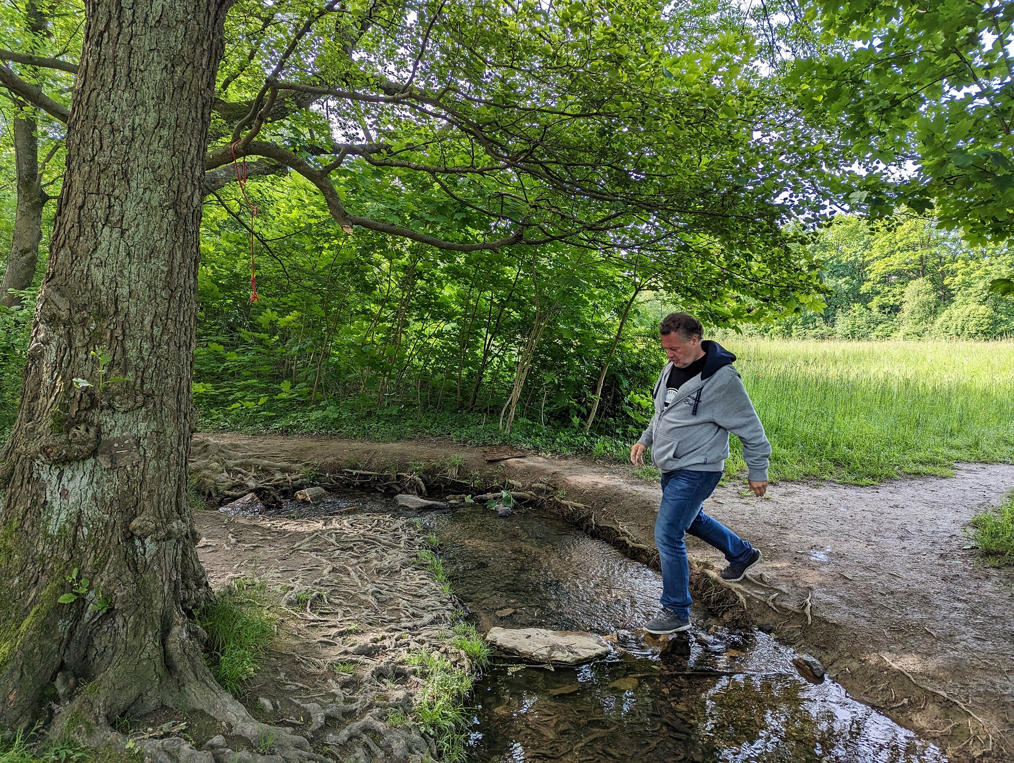 Ausflüge Rhein-Main für Erwachsene: Victoriapark in Kronberg 